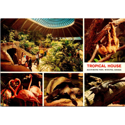 Vintage Assiniboine Park Zoo Tropical House Postcard Winnipeg Canada