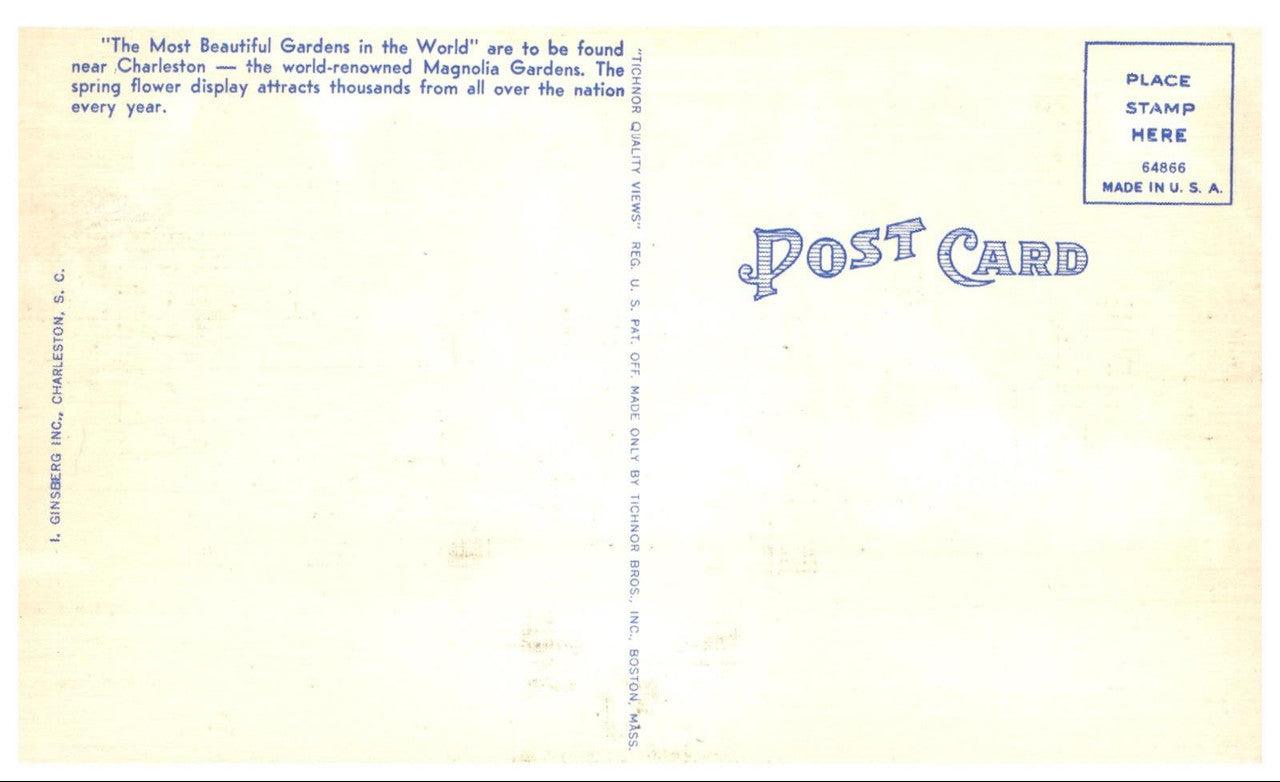 Magnolia Gardens Charleston South Carolina Vintage Linen Postcard Standard Size - Suthern Picker