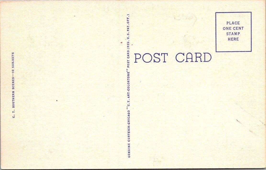 Tobacco Sale An Ever Interesting Scene Vintage Linen Postcard S-522 Unposted - Suthern Picker