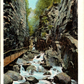 The Flume Franconia Notch N.H. Vintage Linen MINI Postcard Unused