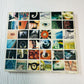 Pearl Jam No Code Album CD With Artwork Booklet Polaroids