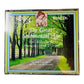 The Great Sentimental Age Song By Foster, Ives, Hawthorne, Hanby TWO CD