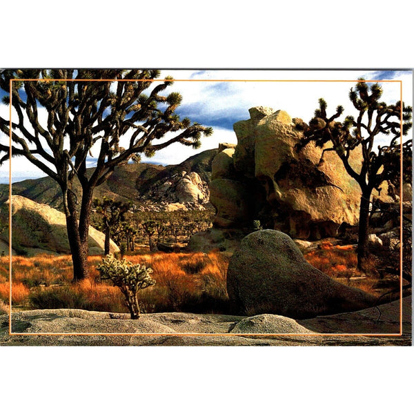 Hidden Valley Secrets #2 Joshua Tree National Park Postcard Made In USA