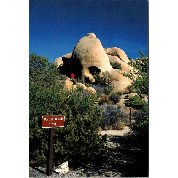 Vintage 1985 Skull Rock Trail Joshua Tree National Park Postcard