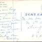 Black Bear Standing Up Vintage Postcard Land O' Lakes District Perth Ontario CAN