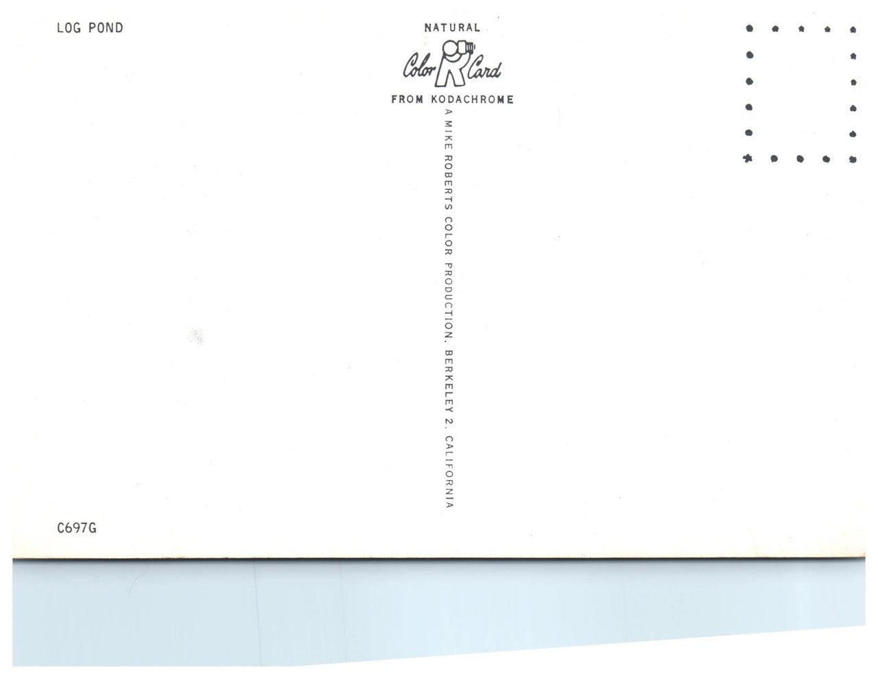 Log Pond Vintage Postcard Unknown Location Kodachrome - Suthern Picker