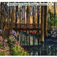 Rustic Bridge Cypress Gardens Charleston South Carolina Vintage Linen Postcard - Suthern Picker