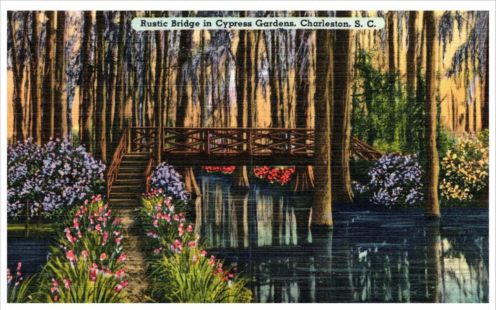 Rustic Bridge Cypress Gardens Charleston South Carolina Vintage Linen Postcard - Suthern Picker