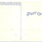 Magnolia Gardens Charleston South Carolina Vintage Linen Postcard Standard Size - Suthern Picker