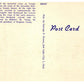 Mormon Temple Seagull Monument Vintage Postcard Linen Salt Lake City Utah - Suthern Picker
