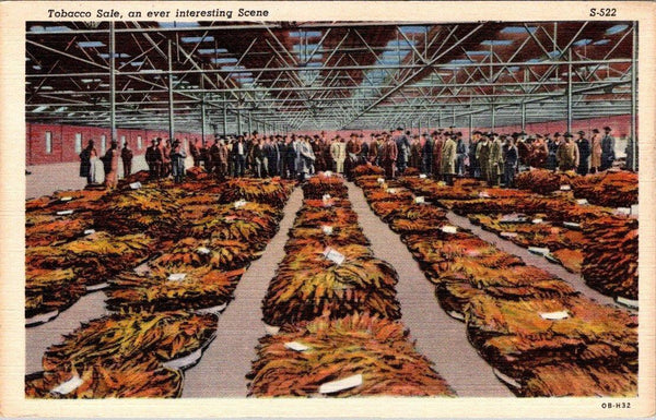 Tobacco Sale An Ever Interesting Scene Vintage Linen Postcard S-522 Unposted - Suthern Picker