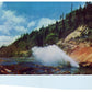 Log Pond Vintage Postcard Unknown Location Kodachrome - Suthern Picker