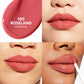 CoverGirl Outlast Forever Velvet Pigment 250 Velvet Waves Matte Lipstick